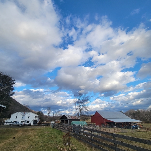 Meet your Posher, M - Picture 4 of 6